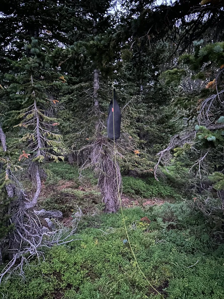Why Hard-Sided Bear Canisters Are a Smart Choice
